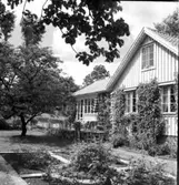 Konstnären Arthur Percy, interiörer o exteriörer, herr o fru Percy, sonhustrun, barnbarn