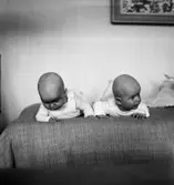 Konstnären Arthur Percy, interiörer o exteriörer, herr o fru Percy, sonhustrun, barnbarn