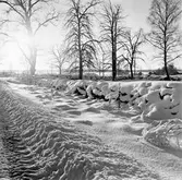Vintervy i Kilsmo, 1960-tal