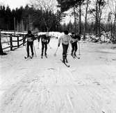 Skidtävling, 1960-tal