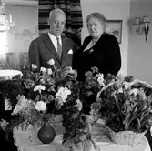 Födelsedagsuppvaktning, 1963