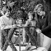 Kransbindning vid midsommarfirande i Brevens bruk, 1961