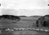 Utsikt från herrgården på Vallby friluftsmuseum i Västerås.