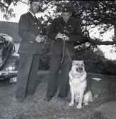 Bränder i Norra Möckleby september 1958. Undersökande poliser med polishund.