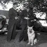 Polis med hund vid brand i Norra Möckleby, Hagby.