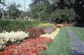 Blomstergatan i Stadsparken,1985.