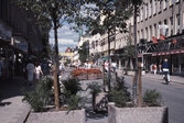Blomsterurnor på Drottninggatan, 1988