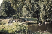 Stadsparken,1980-tal