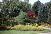 Blomsterplantering, 1989