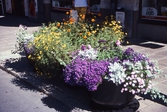 Blommor i krukor, 1998