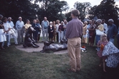 Vandring bland konstverken i stadsparken, 1995