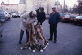 Visning av rävskinn under hindersmässan, 1991