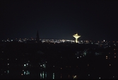 Nattbild på svampen, 1989