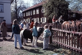 Ponnyridning och häst och vagn i Wadköping, 1991