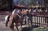 Flicka med sin ponny i Wadköping