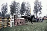 SM i hästhoppning, 1979