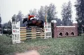 SM i hästhoppning, 1979
