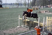 Tävling i hästhoppning, 1984