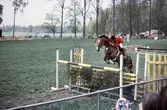 Hästhoppning i Karlslund, 1984