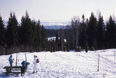 Utsikt över skidpår, 1987