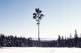 Utsikt från öster i Ånnaboda, 1979