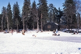 Skriskoåkning vid Ånnabodasjön, 1980