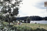 Badplatsen vid Ånnabosjön, 1980