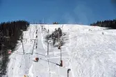 Skidlift upp i slalombacken i Storstenshöjden, 1993