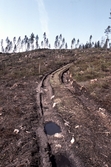 Skogsarvverkning i Bergslagsleden, 1990
