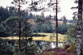 Sjö vid Bergslagsleden, 1977