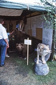 Utställning av uppstoppade djur på vildmarksmässan, 1988