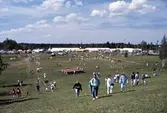 Vy över utställningsområdet under vildmarksmässan, 1989