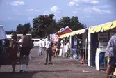 Utställning under vildmarksmässan, 1989