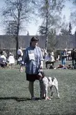 Hundutställare under vidmarksmässa, 1995