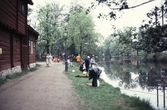 Fisketävling i Svartån vid Vadköping, 1983