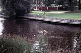 Fiske vid Slussen, 1991