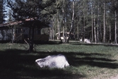 Stugbyn vid Hampetorps camping, 1987