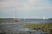 Segelbåtar vid Hampetorp 1995