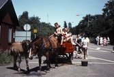 Rundtur på Vinön med remmalag, 1991