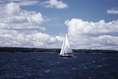 Segelbåt på Hjälmaren, 1986