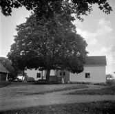 Normlösa Bredgård 1948
