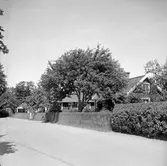 Brostugan, Normlösa