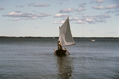 Hjälmaresnipa med segel ute på Hjälmaren, 1992