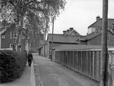 Jordgatan mot norr, 1937