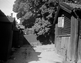 Gårdsinteriör på Kyrkogårdsgatan, 1937