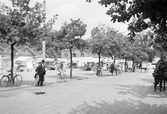 Torghandel vid Hamnplan, 1937