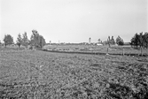 Utsikt mot öster från Baronbacken, 1939