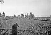Vy mot öster från Holmen, 1939