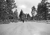 Vinterlandskap, 1940 tal
