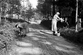 Bärplockning i Klockarhyttan, 1934